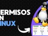 Cómo Dar Permisos a la Carpeta htdocs en XAMPP en Linux (¡de forma segura!)