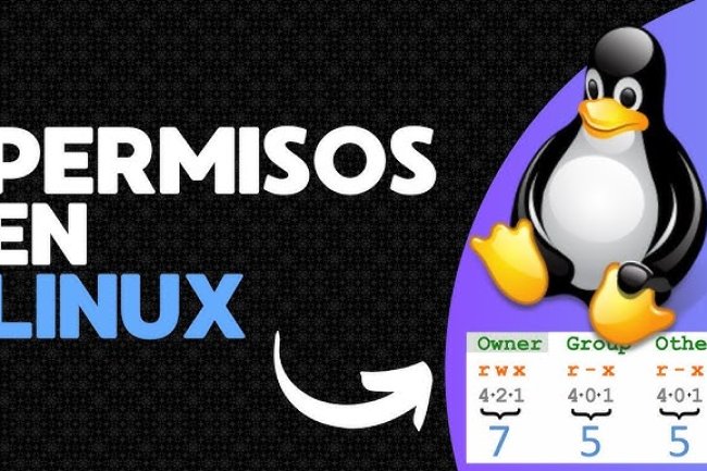 Cómo Dar Permisos a la Carpeta htdocs en XAMPP en Linux (¡de forma segura!)